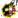 Copa del Rey